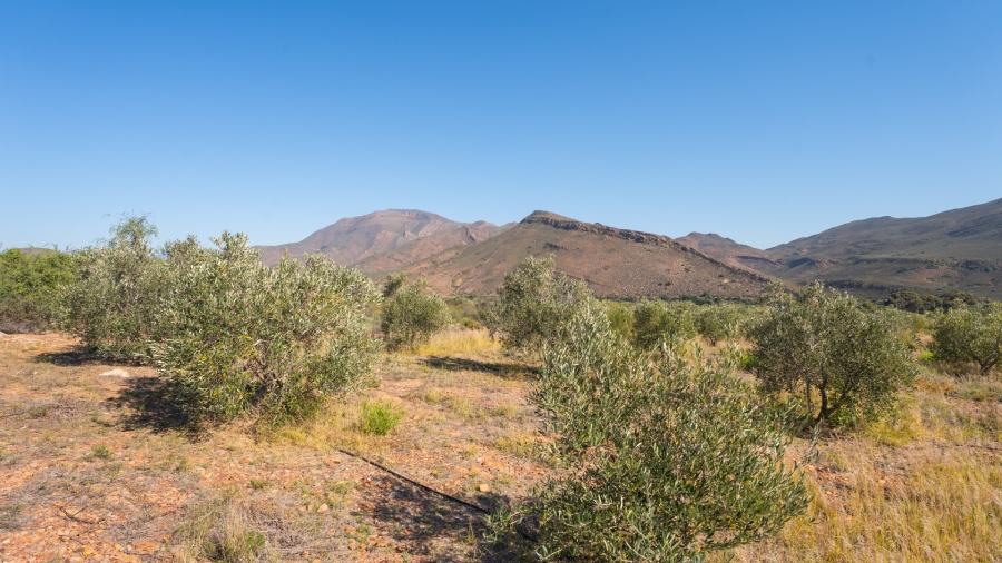 11 Bedroom Property for Sale in Robertson Western Cape